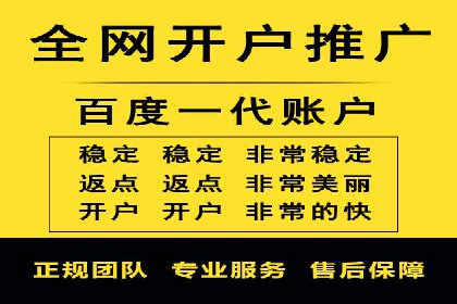 专业sem托管服务案例，揭秘广告投放优化策略
